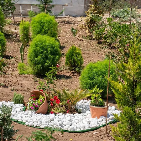 בית נופש Key To Sunset Angon